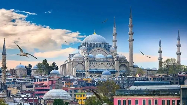 从海关数据看，土耳其进口中国最多的产品有哪些？